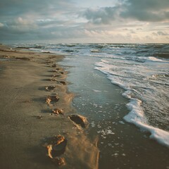 Footprints in the sand leading toward the sea