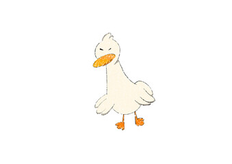 white duck isolated on white background