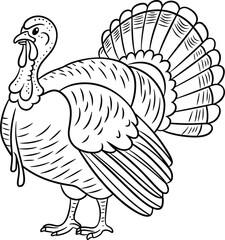 Detailed Turkey Line Art – Festive Bird Vector Illustration for Coloring and Crafts