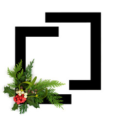 Christmas abstract winter natural flora,  holly berry, ivy, mistletoe berries, fir on white...