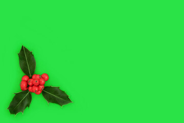 Holly red berry winter Christmas decoration background on green. Traditional nature flora for festive holiday season. Greeting card, gift tag, invitation. Copy space. Ilex aquifolium.