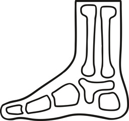 X-ray vector image of leg bone