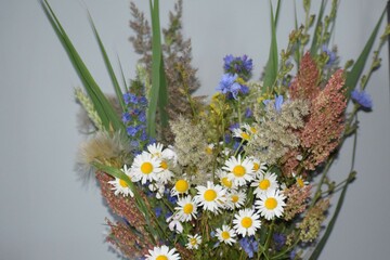 beautiful flowers in the garden © MARIA