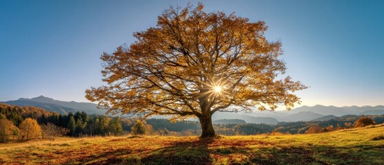 The majestic tree stands tall against the backdrop of a vibrant autumn landscape.