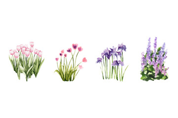 Spring flower waterolor vector elements design