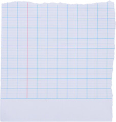 piece of lined graph paper tear isolated on white background