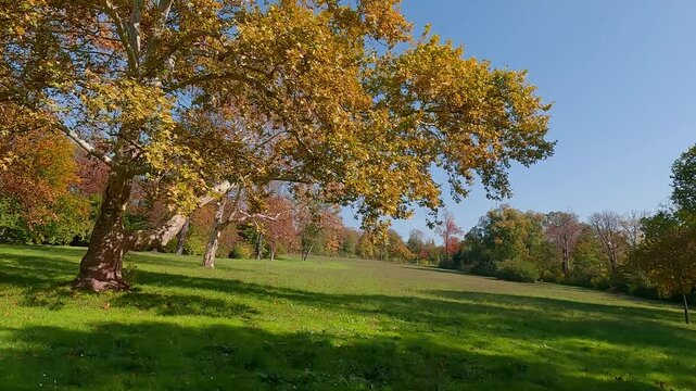 Sunny autumn view of Schlosspark Eisenstadt park, Austria. Fabulous morning scene of  city park in Eisenstadt town. Trees covered with orange and crimson leaves. 4K video (Ultra High Definition).
