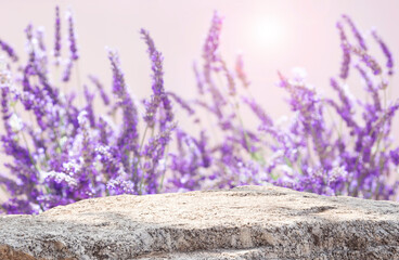 Natural stone as decorative podium for spa or cosmetic product display on blur lavender flowers...