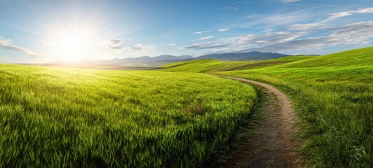 Fototapeta premium The Serene Path Through Lush Green Fields Under a Bright Sky