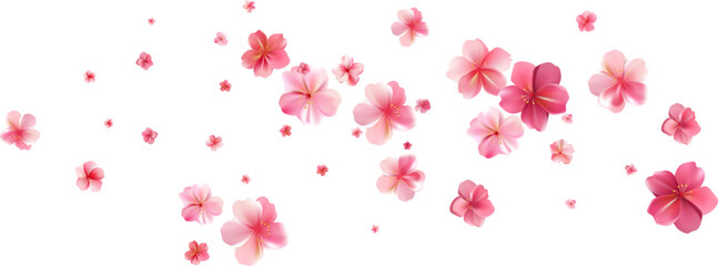 Tender spring pink flower flow. Delicate scent of woman perfume