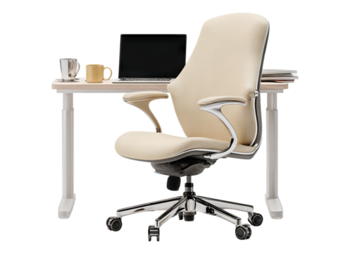 Ergonomic Beige Office