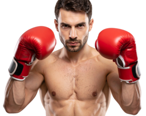 Muscular Male Boxer with Red Gloves in Fighting Stance Isolated on Transparent PNG