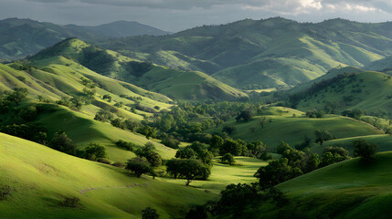 Fototapeta premium Tranquil landscape of verdant hills in a spring setting.
