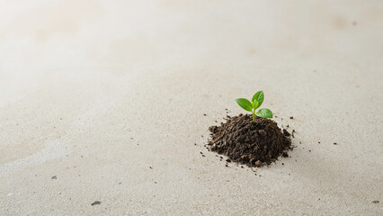 Tiny green sprout emerging from dark soil mound plant growth
