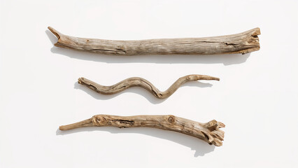 Weathered wood pieces on white background driftwood natural