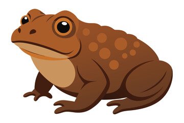 A realistic cartoon illustration of a brown spotted toad sitting on a white background