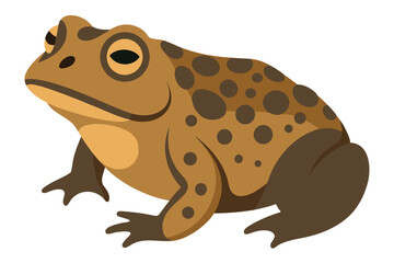 A realistic cartoon illustration of a brown spotted toad on a white background
