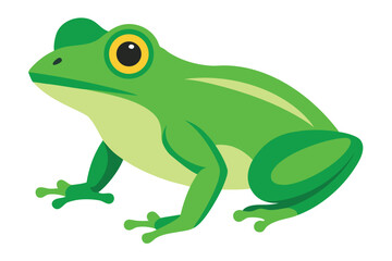 A vibrant green frog with big yellow eyes on a white background