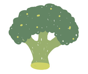 Hand drawn broccoli in green shades on white background