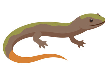 A stylized illustration of a brown salamander with a green stripe and orange tail