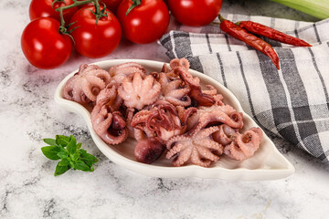 Marinated baby octopus in the bowl