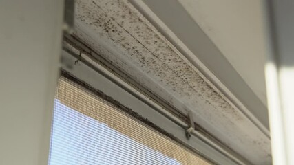 Viewing mold buildup on window frames raises concerns about humidity and airflow in the living space. Addressing these conditions is essential for health