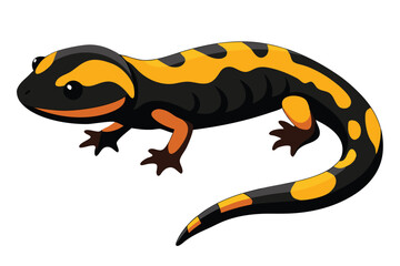Cartoon fire salamander with black and orange spots on white background