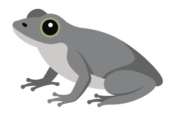 Simple cartoon illustration of a gray frog sitting on a white background