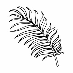 Obraz premium Elegant black and white outline drawing of a tropical palm leaf branch