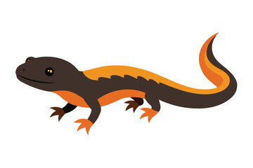 Cartoon illustration of a newt with orange belly and tail