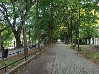 Alley in the park. Central Europe city area.
