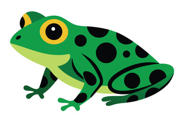 Cute green frog with black spots and big yellow eyes