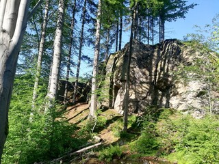 Mountain forest trail. Wild Sudetes mountains. Hiking travel through central Europe.