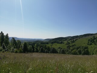Mountain forest wide panorama. The Giant Mountains. Wild Sudetes mountains. Hiking travel through central Europe.