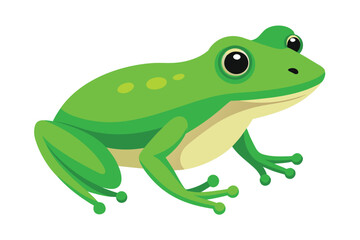 A cute green frog with big eyes and spotted back
