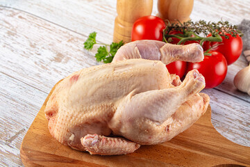 Raw whole uncooked organic chicken