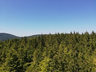 Mountain forest wide panorama. The Giant Mountains. Wild Sudetes mountains. Hiking travel through central Europe.