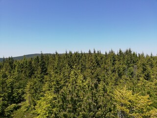 Mountain forest wide panorama. The Giant Mountains. Wild Sudetes mountains. Hiking travel through central Europe.