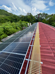 Eco-friendly rooftop solar panel installation in forest area