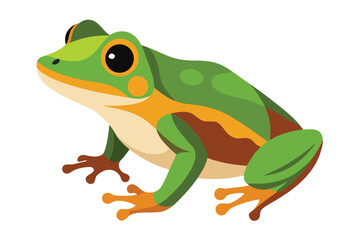 Vibrant green frog with orange accents on a white background