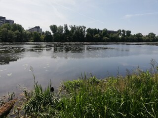 Tiny lake in the middle of the city. Pond in a park.