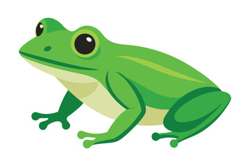 A bright green frog sits patiently on a white background