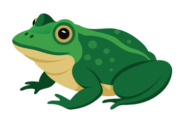 A vibrant green frog with yellow eyes sits on a white background