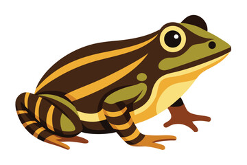 Stylized illustration of a striped brown and green frog sitting