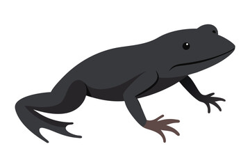 A simple flat illustration of a dark gray frog on a white background