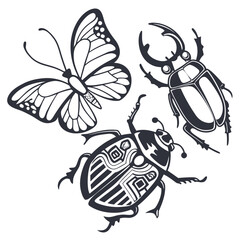 Illustration of a butterfly and two beetles with intricate line work on a white background design element