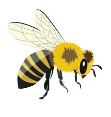 Bee side illustrator EPS vector isolated on white background