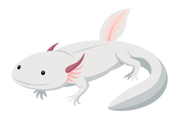 Cute cartoon illustration of a white axolotl with pink gills and tail