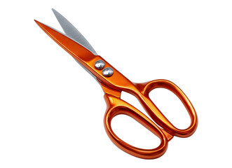 Orange Handled Scissors