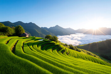 Fototapeta premium Golden sunrise light over misty rice terraces with distant mountain